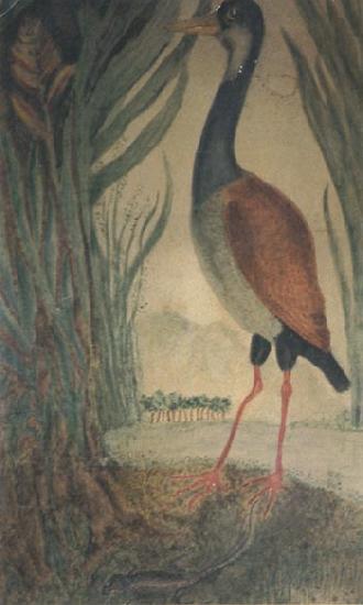 Henri Rousseau Wader oil painting image